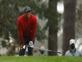 Tiger Woods rules out full-time return to golf after life-threatening car crash - Hindi News | Tiger Woods rules out full-time return to golf after life-threatening car crash | Latest other-sports News at Lokmattimes.com