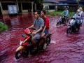 Waters in Indonesian village turn red as floods hit dye-manufacturing factory - Hindi News | Waters in Indonesian village turn red as floods hit dye-manufacturing factory | Latest international News at Lokmattimes.com