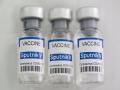 Sputnik V more effective on 'Delta' COVID-19 variant than any other vaccine: RDIF - Hindi News | Sputnik V more effective on 'Delta' COVID-19 variant than any other vaccine: RDIF | Latest international News at Lokmattimes.com