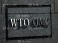 WTO General Council Chair convenes meeting after India's call for virtual ministerial conference on global COVID-19 response - Hindi News | WTO General Council Chair convenes meeting after India's call for virtual ministerial conference on global COVID-19 response | Latest international News at Lokmattimes.com