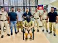 Russian national held for possessing drugs in Goa - Hindi News | Russian national held for possessing drugs in Goa | Latest national News at Lokmattimes.com