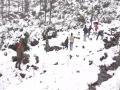 J-K: Tourists throng Panchari to enjoy fresh snowfall - Hindi News | J-K: Tourists throng Panchari to enjoy fresh snowfall | Latest national News at Lokmattimes.com
