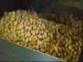 Soybean: A popular ingredient of Japanese cuisine - Hindi News | Soybean: A popular ingredient of Japanese cuisine | Latest international News at Lokmattimes.com