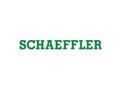 Schaeffler India continues rural community development in Savli, near Vadodara - Hindi News | Schaeffler India continues rural community development in Savli, near Vadodara | Latest business News at Lokmattimes.com