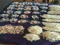 BSF seizes silver ornaments at India-Bangladesh border - Hindi News | BSF seizes silver ornaments at India-Bangladesh border | Latest national News at Lokmattimes.com
