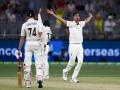Perth Test: Starc, Lyon lead Australia to 296-run win over New Zealand - Hindi News | Perth Test: Starc, Lyon lead Australia to 296-run win over New Zealand | Latest cricket News at Lokmattimes.com
