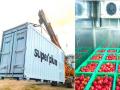 Superplum raises pre series A funding from marquee investors - Hindi News | Superplum raises pre series A funding from marquee investors | Latest business News at Lokmattimes.com