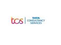 TCS targets net zero emissions by 2030 - Hindi News | TCS targets net zero emissions by 2030 | Latest business News at Lokmattimes.com