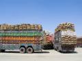 Amid lack of business-friendly policies, Pak-Afghan trade volume shrinks to USD 1 billion - Hindi News | Amid lack of business-friendly policies, Pak-Afghan trade volume shrinks to USD 1 billion | Latest international News at Lokmattimes.com