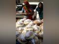 Transgenders distribute ration packets, cash among needy in Godhra - Hindi News | Transgenders distribute ration packets, cash among needy in Godhra | Latest national News at Lokmattimes.com