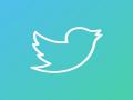 Twitter writes to government, says appointed nodal contact person, resident grievance officer - Hindi News | Twitter writes to government, says appointed nodal contact person, resident grievance officer | Latest national News at Lokmattimes.com