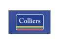 Colliers hires India Research Head and two Senior Industry Leaders to strengthen India capability - Hindi News | Colliers hires India Research Head and two Senior Industry Leaders to strengthen India capability | Latest business News at Lokmattimes.com