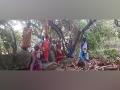 Andhra: Tribal women protest cashew crop destruction, stage 'mock suicide' protest - Hindi News | Andhra: Tribal women protest cashew crop destruction, stage 'mock suicide' protest | Latest national News at Lokmattimes.com