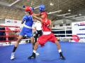 Sub-Junior National Boxing C'ships: 5 boxers from Haryana, UP enter QFs - Hindi News | Sub-Junior National Boxing C'ships: 5 boxers from Haryana, UP enter QFs | Latest other-sports News at Lokmattimes.com
