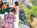 Varun, Bhumi, Jacqueline offer prayers on Ganesh Chaturthi - Hindi News | Varun, Bhumi, Jacqueline offer prayers on Ganesh Chaturthi | Latest entertainment News at Lokmattimes.com