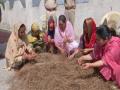 J&K: Nowshera Forest Division trains women in Chir needle handicraft under Mission Youth - Hindi News | J&K: Nowshera Forest Division trains women in Chir needle handicraft under Mission Youth | Latest national News at Lokmattimes.com