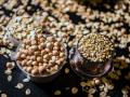Whole grains could reduce economic impact of type 2 diabetes: Study - Hindi News | Whole grains could reduce economic impact of type 2 diabetes: Study | Latest lifestyle News at Lokmattimes.com