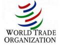 WTO calls for ramping up vaccine production in developing nations - Hindi News | WTO calls for ramping up vaccine production in developing nations | Latest international News at Lokmattimes.com