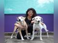 Doggie Dog World - a haven for your furry babies - Hindi News | Doggie Dog World - a haven for your furry babies | Latest business News at Lokmattimes.com