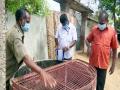 Gambusia fish to eradicate Rameswaram mosquitoes - Hindi News | Gambusia fish to eradicate Rameswaram mosquitoes | Latest national News at Lokmattimes.com