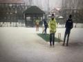 First-ever cricket championship on snow organised in Srinagar - Hindi News | First-ever cricket championship on snow organised in Srinagar | Latest cricket News at Lokmattimes.com