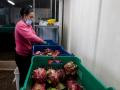 300,000 ton Vietnamese dragon fruit await buyers as China clamps down on border trade - Hindi News | 300,000 ton Vietnamese dragon fruit await buyers as China clamps down on border trade | Latest international News at Lokmattimes.com