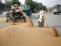 Weeks after announcing ban, India exported wheat worth USD 473 million in April - Hindi News | Weeks after announcing ban, India exported wheat worth USD 473 million in April | Latest national News at Lokmattimes.com