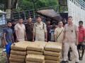 594 kg cannabis seized at Assam-Tripura border - Hindi News | 594 kg cannabis seized at Assam-Tripura border | Latest national News at Lokmattimes.com