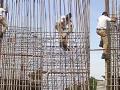 Hyderabad cop saves kitten stranded on under construction pillar - Hindi News | Hyderabad cop saves kitten stranded on under construction pillar | Latest national News at Lokmattimes.com