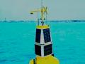 NCCR deploys a moored buoy to monitor variations in water quality - Hindi News | NCCR deploys a moored buoy to monitor variations in water quality | Latest national News at Lokmattimes.com