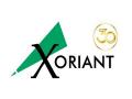 Xoriant aims to onboard fresh graduates and young engineers - Hindi News | Xoriant aims to onboard fresh graduates and young engineers | Latest business News at Lokmattimes.com