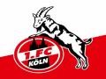 Three FC Koln members test positive for COVID-19 after return to training - Hindi News | Three FC Koln members test positive for COVID-19 after return to training | Latest football News at Lokmattimes.com