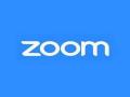 Zoom rolls out 'SSO feature' to make online classrooms safer - Hindi News | Zoom rolls out 'SSO feature' to make online classrooms safer | Latest technology News at Lokmattimes.com