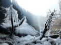 Intense cold wave engulfs J&K, Ladakh - Hindi News | Intense cold wave engulfs J&K, Ladakh | Latest national News at Lokmattimes.com