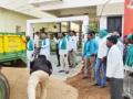 Telangana farmers dump paddy in front of BJP MP's house - Hindi News | Telangana farmers dump paddy in front of BJP MP's house | Latest politics News at Lokmattimes.com