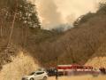 S.Korea: Wildfires on east coast burn nearly 24,000 hectare of woodland - Hindi News | S.Korea: Wildfires on east coast burn nearly 24,000 hectare of woodland | Latest politics News at Lokmattimes.com