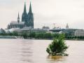 Flooding in Germany kills 80 people - Hindi News | Flooding in Germany kills 80 people | Latest politics News at Lokmattimes.com