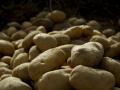 Are potatoes safe for people with diabetes to eat? - Hindi News | Are potatoes safe for people with diabetes to eat? | Latest health News at Lokmattimes.com