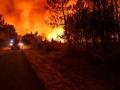 France receives help from EU nations to battle raging forest fires - Hindi News | France receives help from EU nations to battle raging forest fires | Latest politics News at Lokmattimes.com
