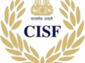 CISF to install body scanners at major airports soon - Hindi News | CISF to install body scanners at major airports soon | Latest politics News at Lokmattimes.com