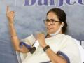 'IPAC maybe betraying Mamata Banerjee ahead of Goa polls' - Hindi News | 'IPAC maybe betraying Mamata Banerjee ahead of Goa polls' | Latest politics News at Lokmattimes.com