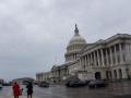US Congress examines campus speech conflicts - Hindi News | US Congress examines campus speech conflicts | Latest international News at Lokmattimes.com