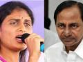 Sharmila asks KCR to name corrupt MLAs - Hindi News | Sharmila asks KCR to name corrupt MLAs | Latest politics News at Lokmattimes.com