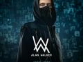 Alan Walker to kick off Sunburn multi-city tour in April - Hindi News | Alan Walker to kick off Sunburn multi-city tour in April | Latest entertainment News at Lokmattimes.com