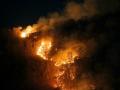 Brazil wildfires spark environmental emergency declaration - Hindi News | Brazil wildfires spark environmental emergency declaration | Latest international News at Lokmattimes.com