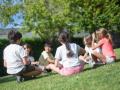 What is social-emotional learning - Hindi News | What is social-emotional learning | Latest lifestyle News at Lokmattimes.com