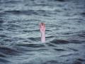 Two kids meet watery grave in Bihar's Banka district - Hindi News | Two kids meet watery grave in Bihar's Banka district | Latest national News at Lokmattimes.com