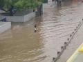 Heavy rainfall disrupts life in Gurugram - Hindi News | Heavy rainfall disrupts life in Gurugram | Latest national News at Lokmattimes.com