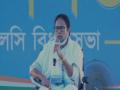 Mamata blames 'outsider' goons for COVID-19 spread in Bengal - Hindi News | Mamata blames 'outsider' goons for COVID-19 spread in Bengal | Latest politics News at Lokmattimes.com