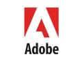Adobe bringing Magic Wand tool to Photoshop for iPad - Hindi News | Adobe bringing Magic Wand tool to Photoshop for iPad | Latest technology News at Lokmattimes.com